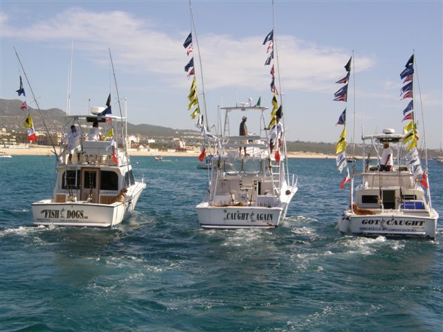 Cabo fishing trip provider