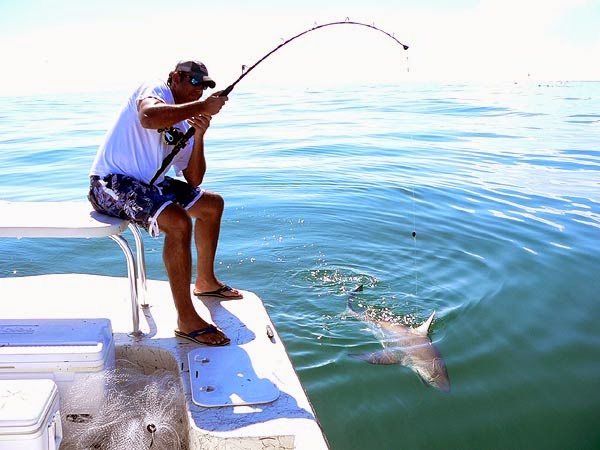 Cabo San Lucas sport fishing Charters