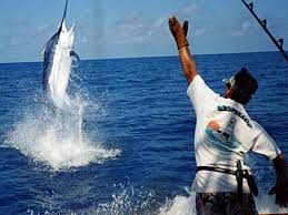 fishing charters in Cabo San Lucas